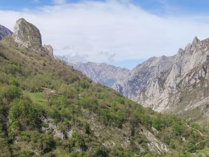 הוילה La Casina De Tielve De Cabrales Dentro Del Parque Nacional Picos De Europa מראה חיצוני תמונה