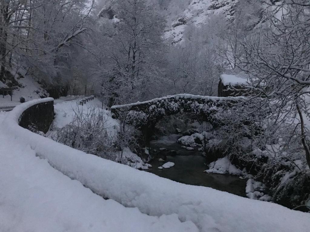 הוילה La Casina De Tielve De Cabrales Dentro Del Parque Nacional Picos De Europa מראה חיצוני תמונה